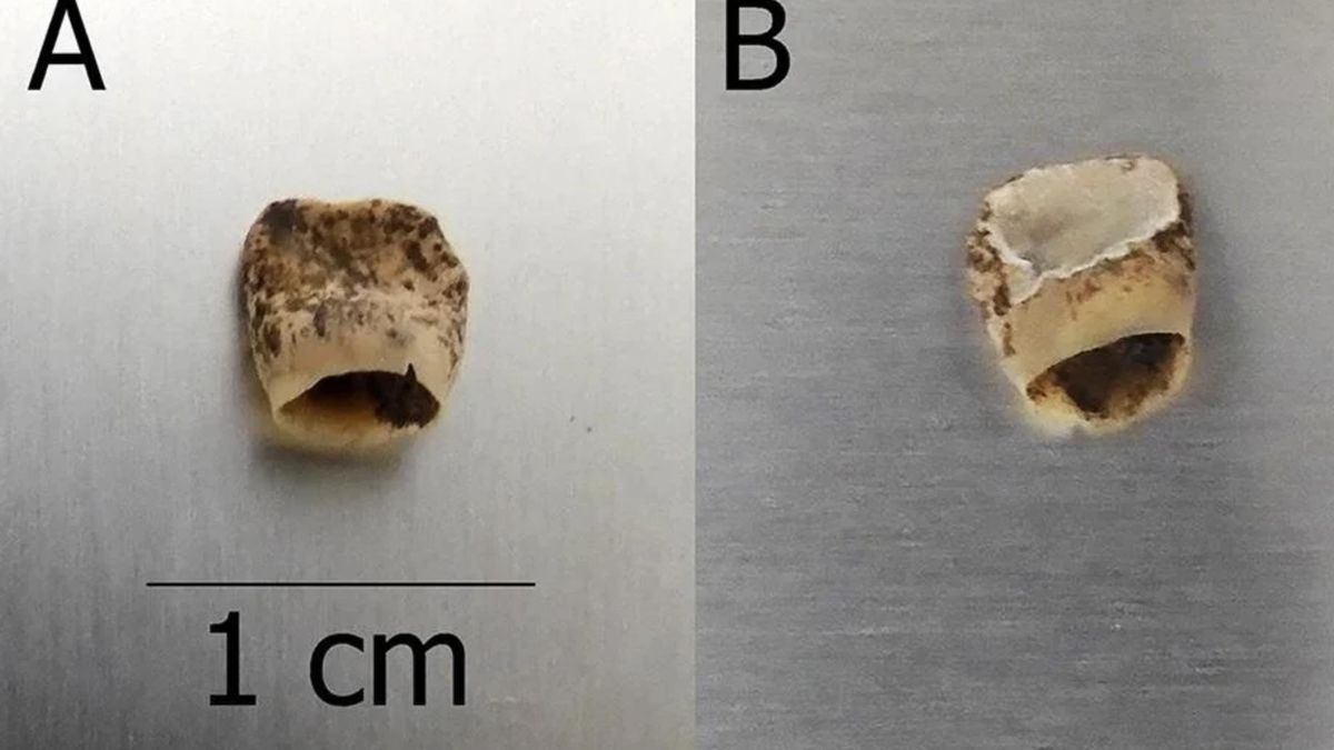 Los análisis de isótopos estables demostraron que el bebé fue amamantado de forma continua