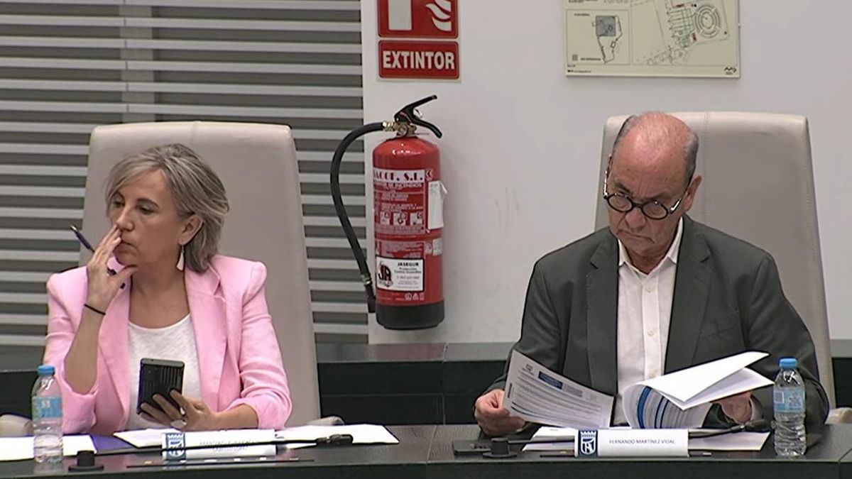 Arantxa Cabello y Fernando Martínez Vidal, los dos únicos concejales de Vox no expulsados, en el Pleno durante las palabras de Ignacio Ansaldo