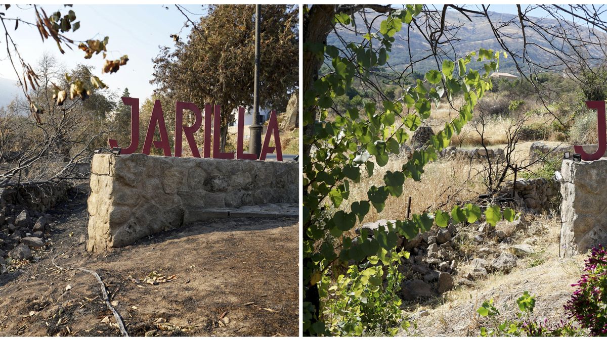 Un año después del gran incendio de Jarilla, Villar de Plasencia afronta el verano con "miedo" y el monte sin limpiar