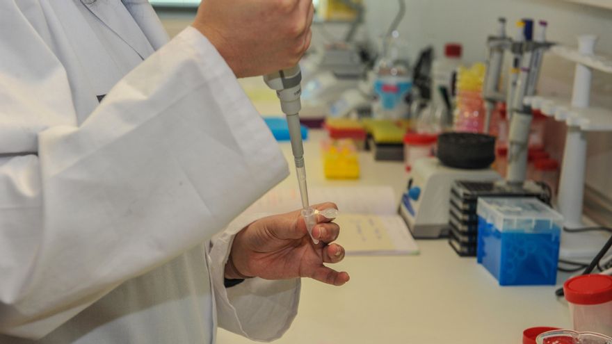 Investigadores valencianos en el laboratorio.