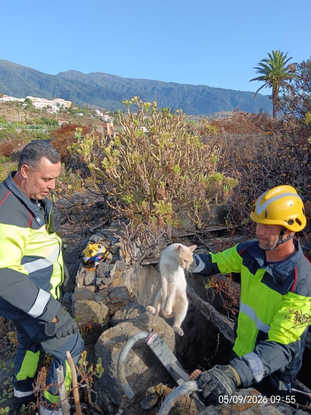 Dos bomberos con el gasto rescatado en un pozo  de Breña Baja.