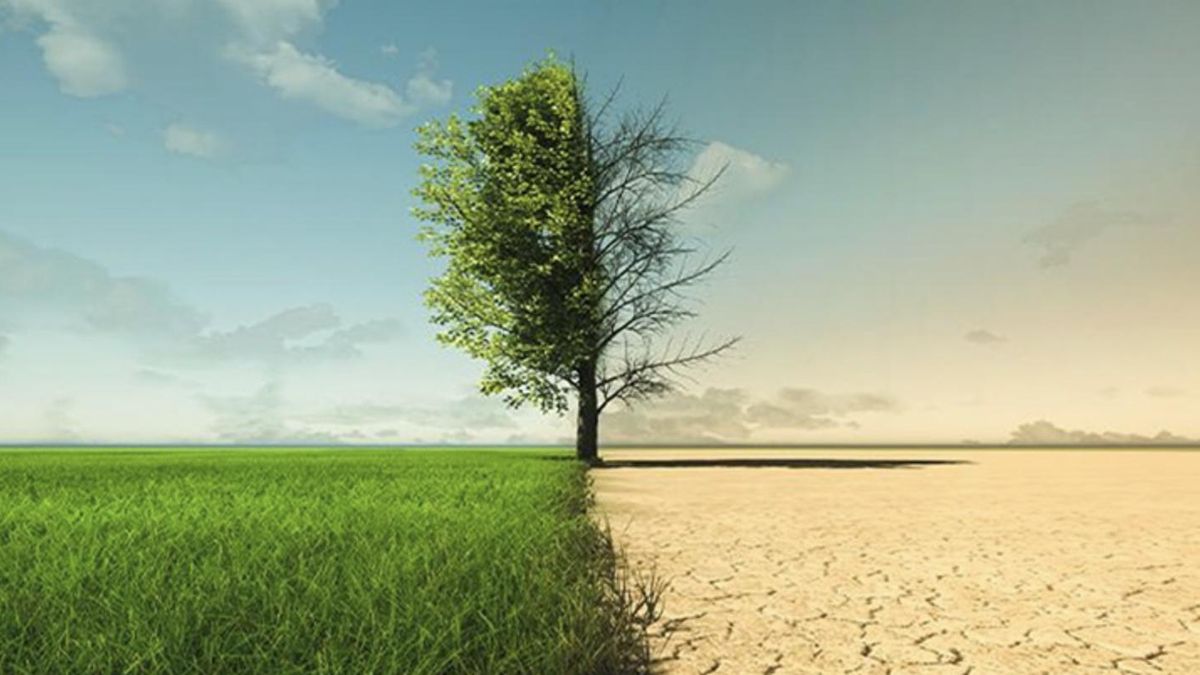 Día Mundial de la Acción frente al Calentamiento Terrestre: ¿por qué se conmemora el 28 de enero?