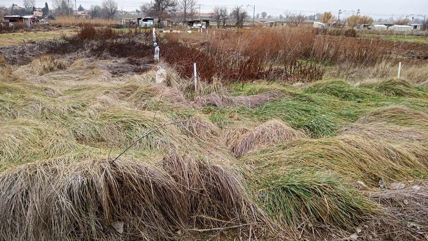 Los vecinos de Fontanar en Guadalajara vuelven a manifestarse contra la regulación de los huertos familiares que propone el alcalde