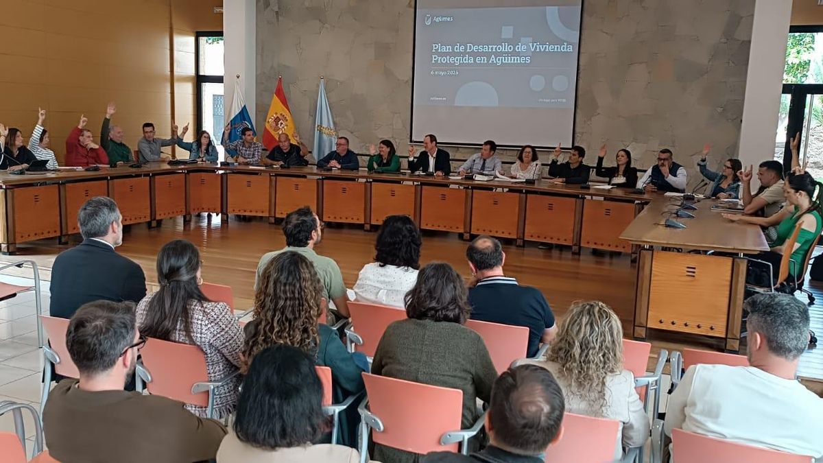 El pleno del Ayuntamiento de Agüimes ha aprobado este martes un programa que pretende ofrecer 1.766 viviendas públicas en régimen de alquiler asequible.