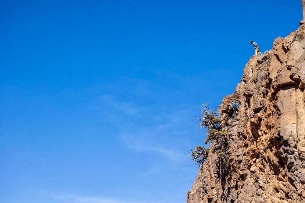 Fundación Endesa y el Cabildo de Tenerife presentan los primeros resultados de los proyectos para la conservación y protección del Parque Nacional del Teide.