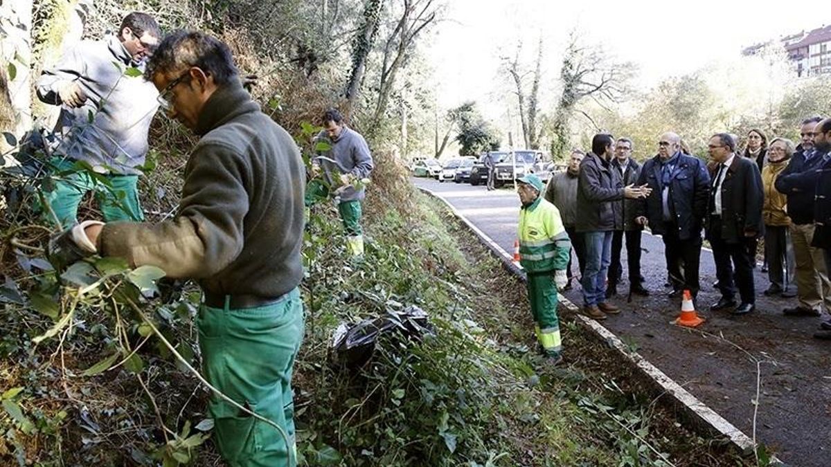 Personas con discapacidad trabajan en un proyecto del Gobierno regional de control de especies invasoras en La Viesca