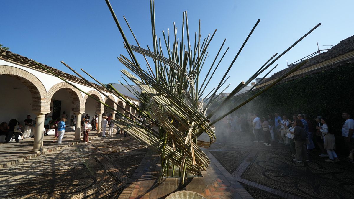 Libros y flores en Córdoba