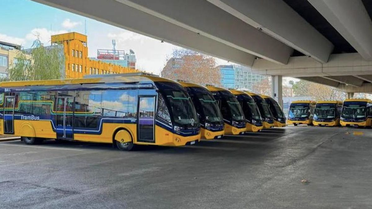 Unidades de TramBus.