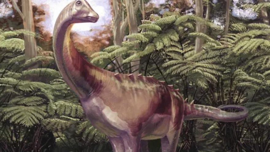 Las dimensiones estimadas apuntaron a un animal mucho más pequeño que otros representantes conocidos del mismo grupo