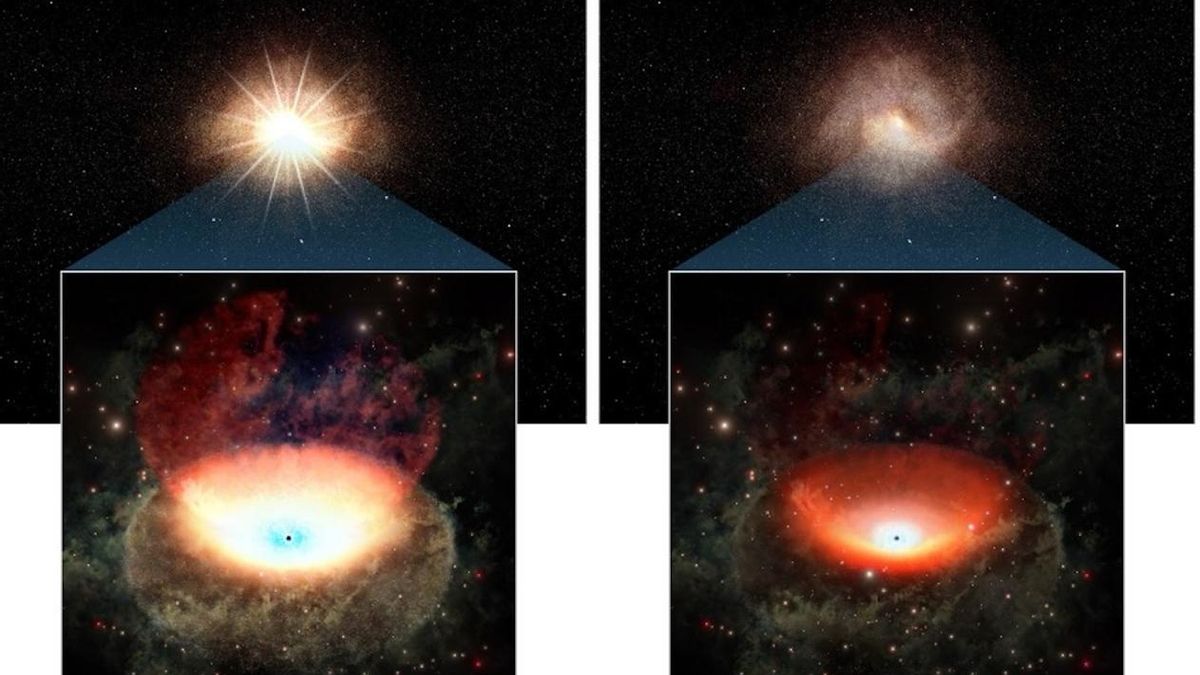 El Instituto de Astrofísica de Canarias y el Grantecan participan en el hallazgo de un agujero negro supermasivo