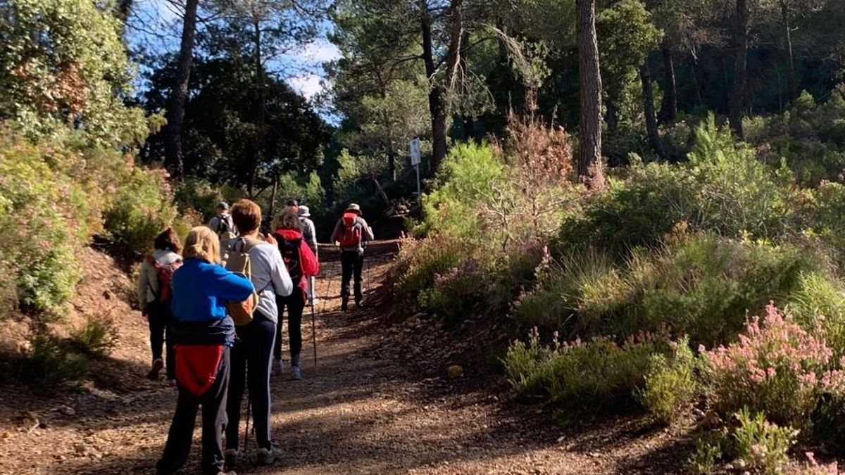 Un grupo de senderistas de excursión por la Serra de Tramuntana. Imagen de archivo/ Europa Press