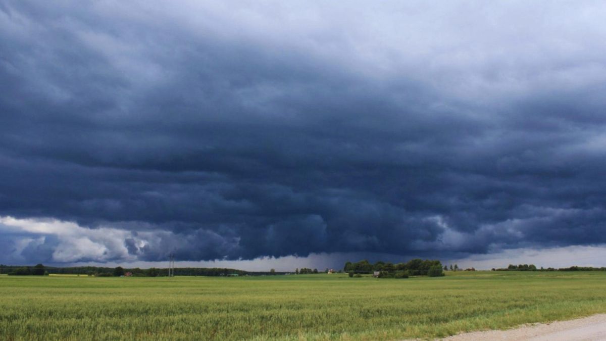 Hay entusiasmo por los beneficios que puede traer El Niño al campo.