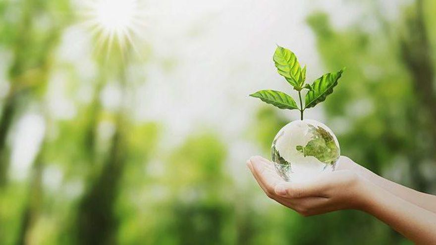 Día del Consumo Responsable: ¿por qué se celebra el 15 de marzo y cómo colaborar con el medio ambiente?