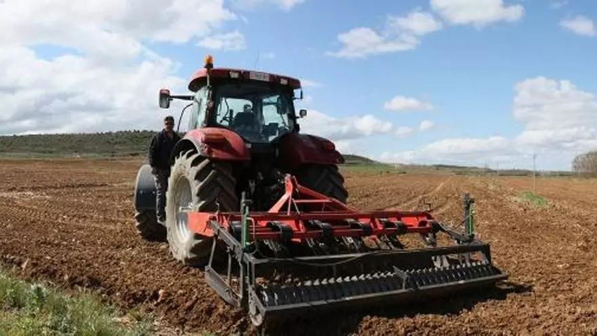 El conflicto en Oriente Próximo dispara los costes del campo y pone en alerta al sector exportador murciano