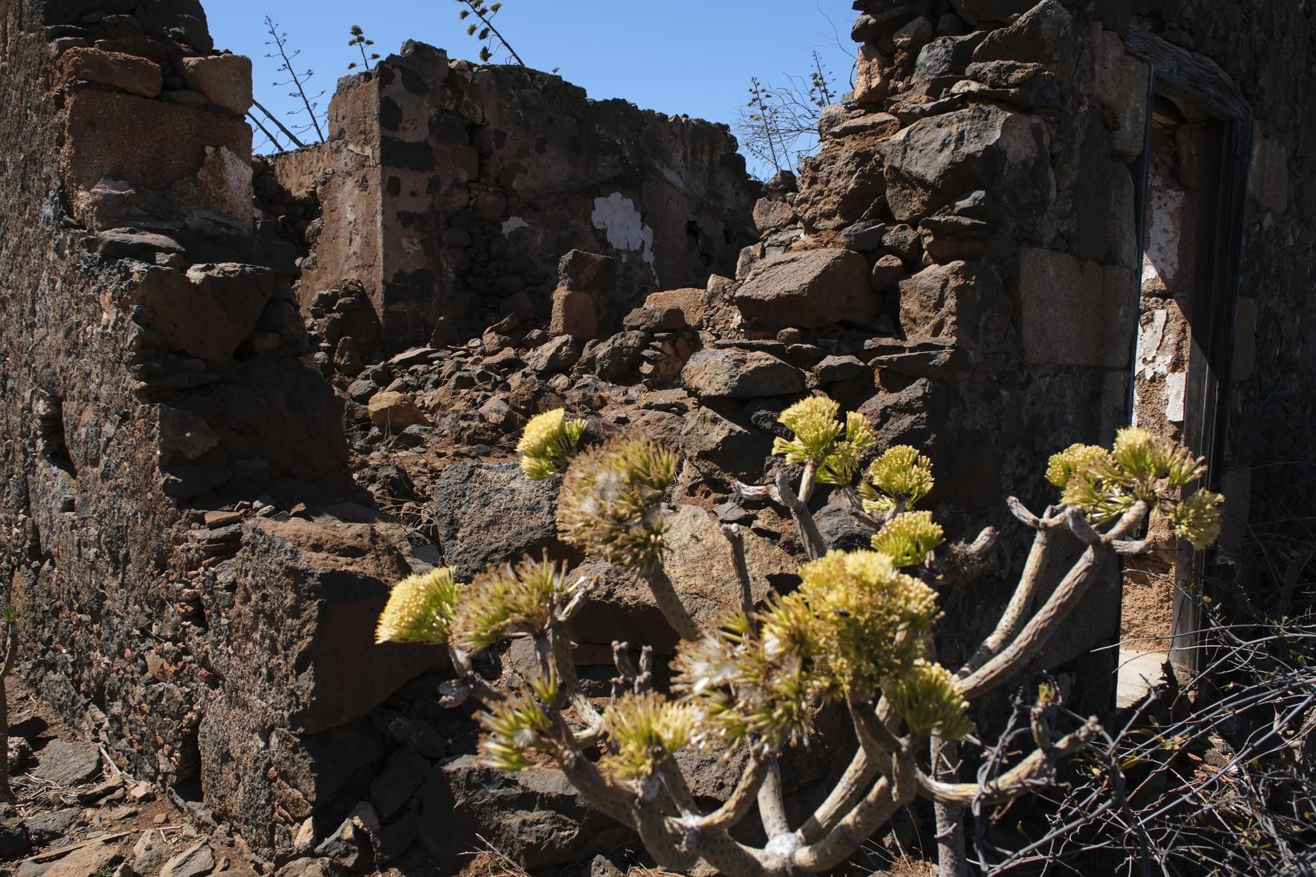 Parte de la finca del corsario Amaro Pargo, donada al Cabildo de Tenerife.