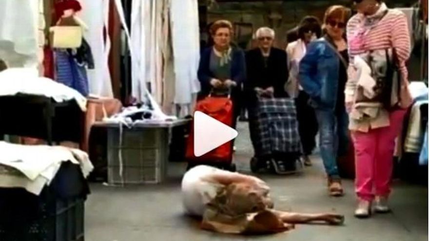 Los compradores del mercado  se sorprendieron por el montaje de la performance en favor del planeta. / Instagram Ecoasturica