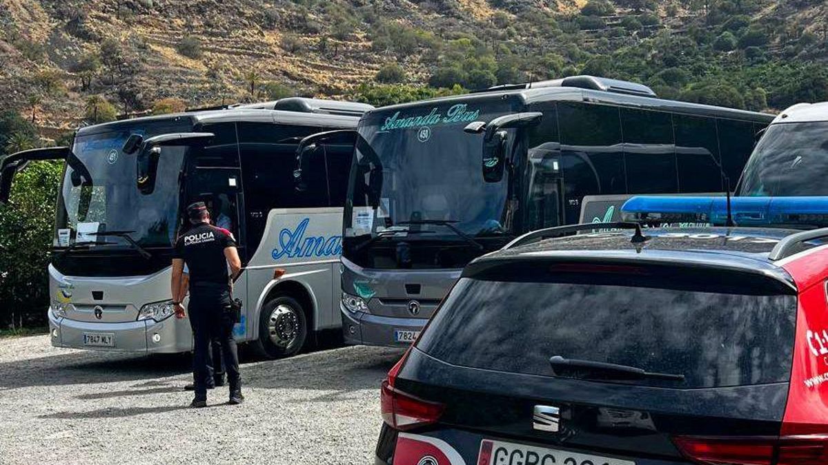 Agentes de la Policía Canaria, durante una de las inspecciones.