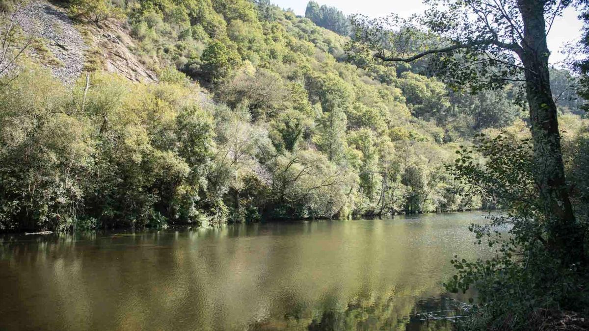 La bucólica ruta de senderismo que lleva a ver el nacimiento de uno de los ríos más importantes de Galicia
