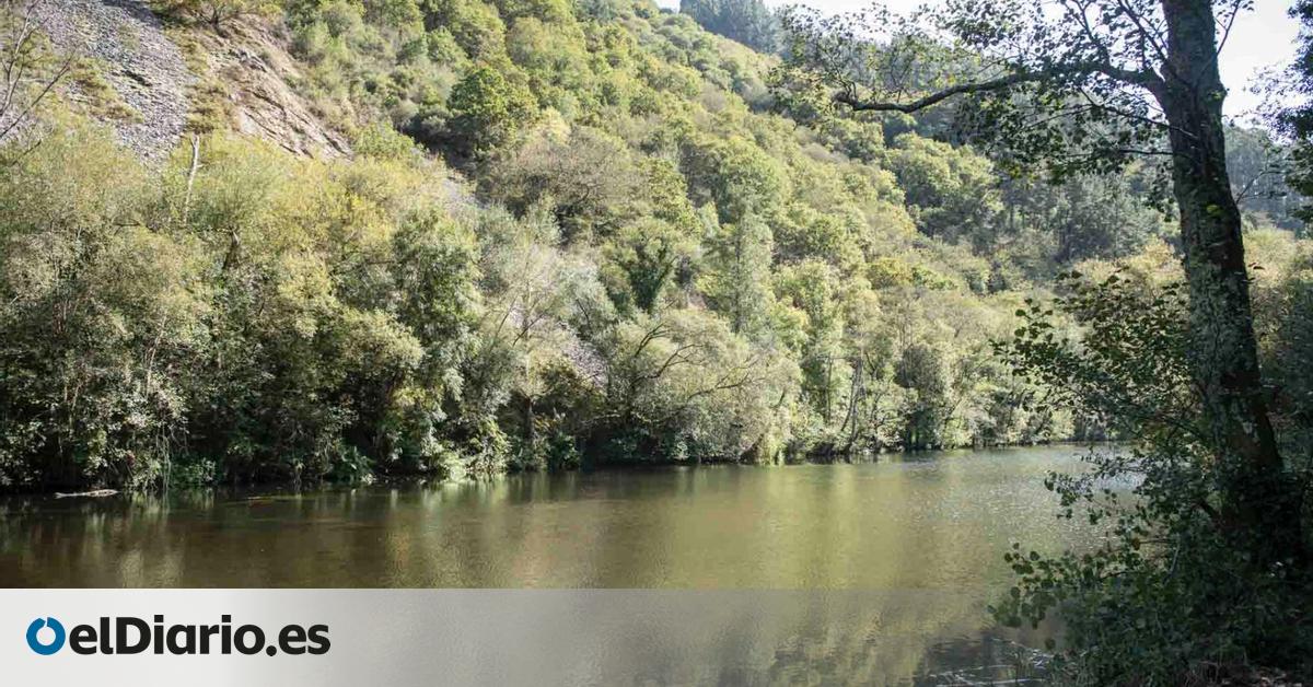 La bucólica ruta de senderismo que lleva a ver el nacimiento de uno de los ríos más importantes de Galicia