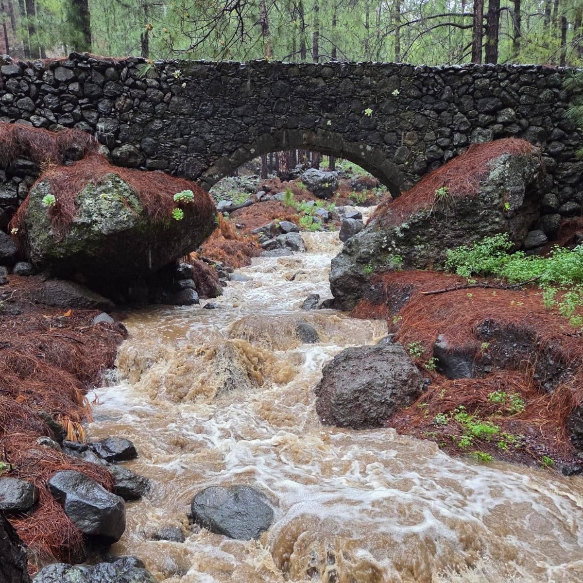Cauce del Riachuelo, en la carretera de acceso al Mirador de la Cumbrecita, LP-302, en una zona de monte público en el municipio de El Paso, este martes, convertido en torrente.
