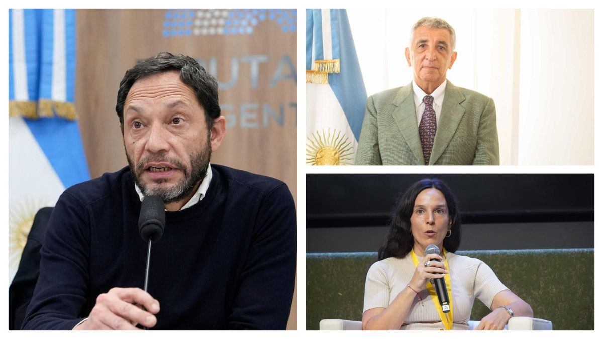 El presidente de la comisión investigadora de $LIBRA, Maximiliano Ferraro, de la Coalición Cívica, citó para las 16 de este martes al titular de la Oficina Anticorrupción, Alejandro Melik, y la extitular de la disuelta Unidad de Tareas de Investigación de Libra Florencia Zicavo.
