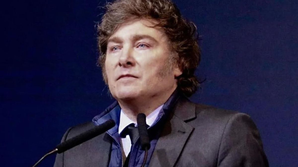 Milei reclamó “identificar a todos” los que participaron de una campaña rusa en medios contra su gestión