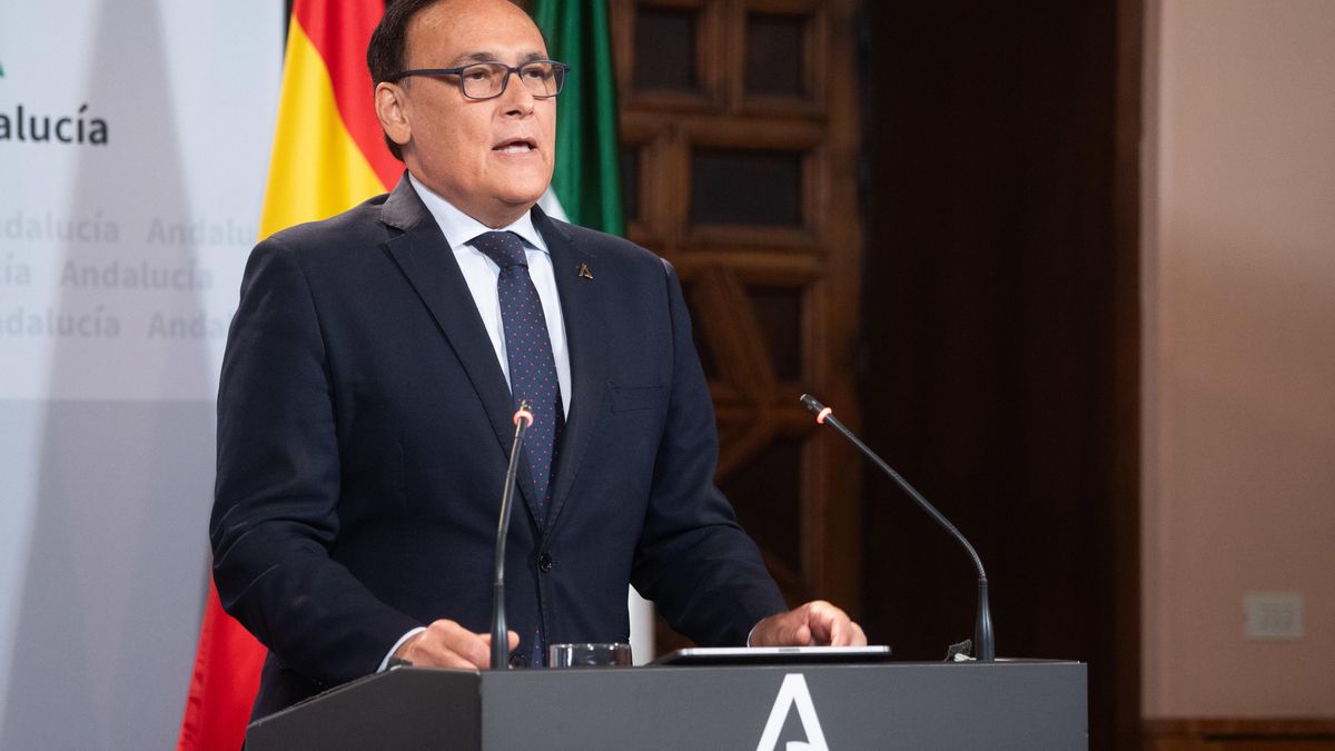 El consejero de Universidad, José Carlos Gómez Villamandos, este martes en la rueda de prensa tras el Consejo de Gobierno.