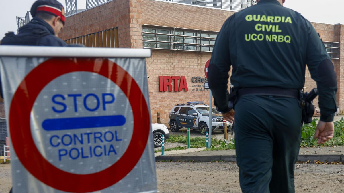 La policía registra por segunda vez el laboratorio investigado en Catalunya por la fuga de peste porcina
