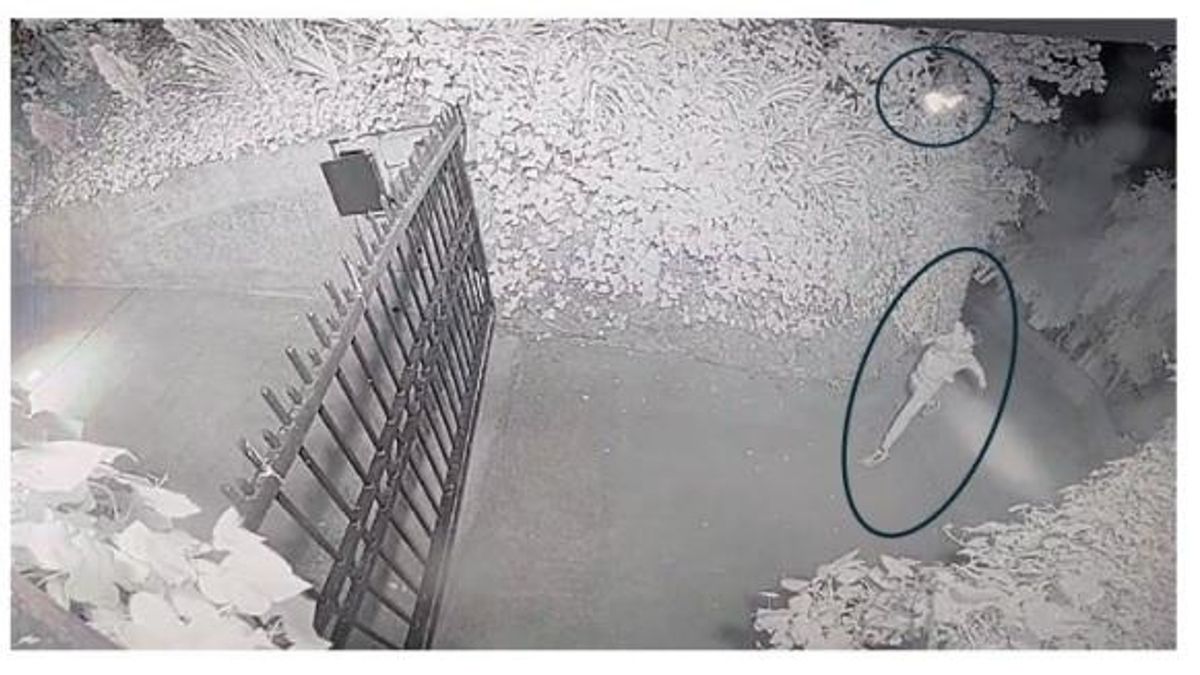 Imagen de las cámaras de seguridad que muestra a una persona, presuntamente Daniel Moreno-Gama, lanzando un artefacto incendiario contra la casa de Sam Altman