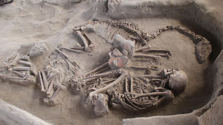 Las llamas pudieron ser domesticadas antes de los incas en el norte semiárido de Chile