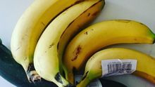 Fruta sin plástico