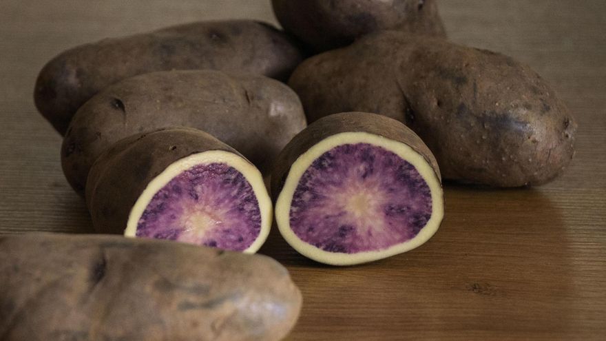 Así es Atsegiñe, la nueva variedad de patata vasca de dos colores y con una gran concentración de antioxidantes