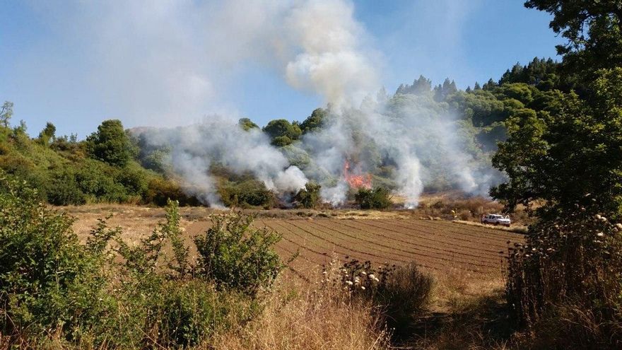 Controlado un conato de incendio en el municipio grancanario de Valleseco