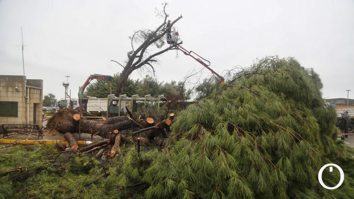 Efectos del tornado en el Hospital Reina Sofía de Córdoba