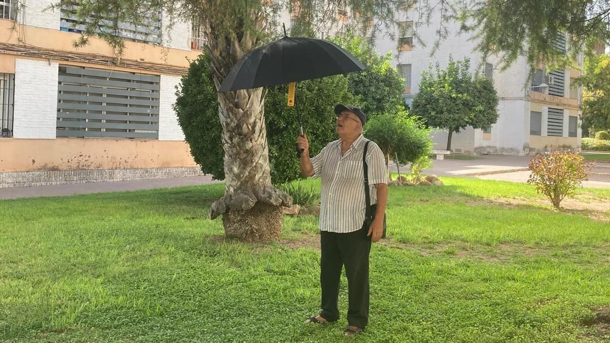 Medición de temperatura en unos jardines.