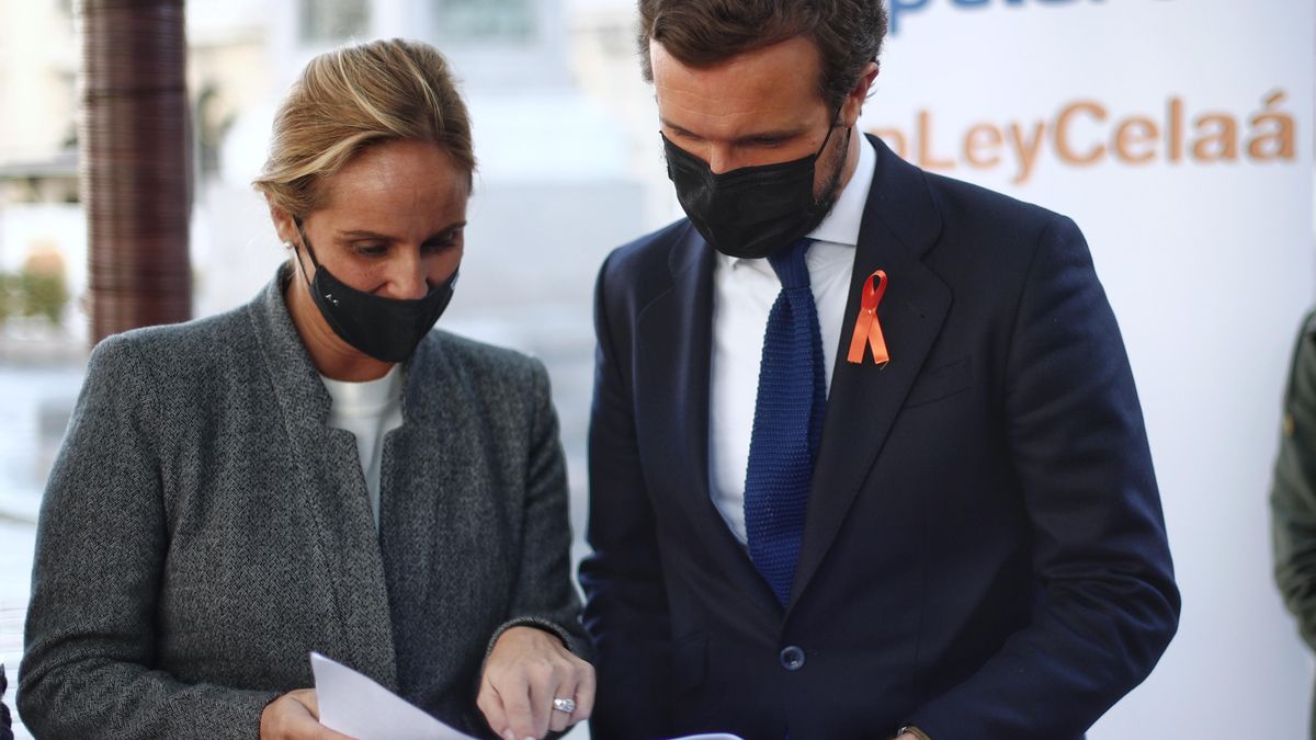 La senadora del PP por Madrid Ana Camins y el presidente del  Pablo Casado, durante firma contra la 'Ley Celaá', en la mesa instalada por el PP de Madrid en las inmediaciones del Congreso. en Madrid (España), a 19 de noviembre de 2020.