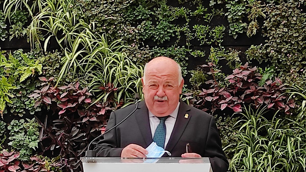 El consejero de Salud y Familias de la Junta de Andalucía, Jesús Aguirre.