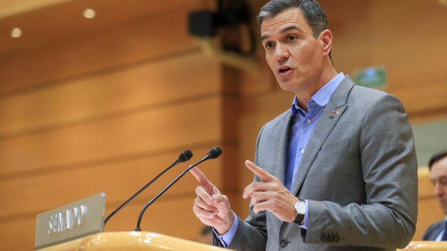 El presidente del Gobierno, Pedro Sánchez, en una imagen de archivo. EFE/ Fernando Alvarado