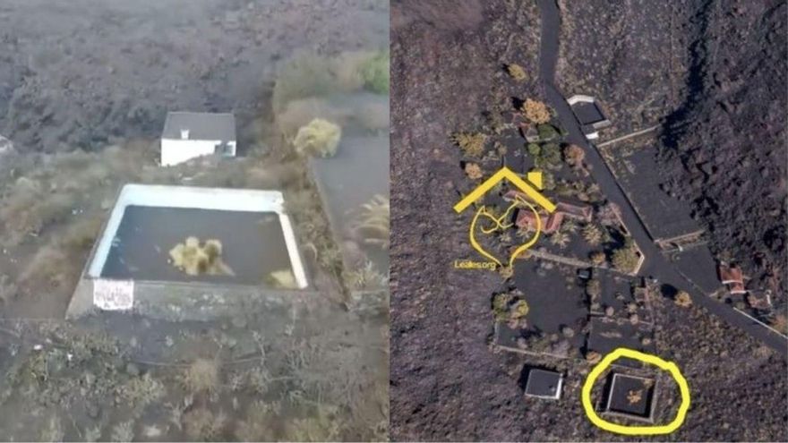 Lo que sabemos del misterioso rescate de los podencos de La Palma: el ‘Equipo A’ aprovechó la luz de la Luna llena