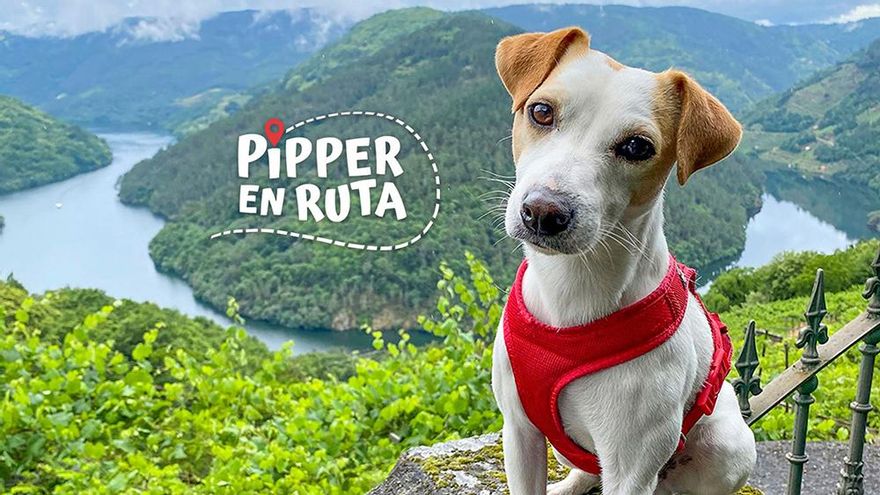 El perro Pipper, protagonista del nuevo programa viajero que estrena TVE