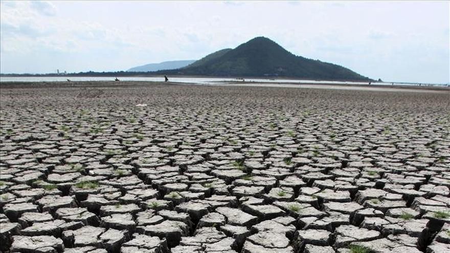 Las sequías del futuro serán graves en Canarias, con mayor afectación en zonas altas