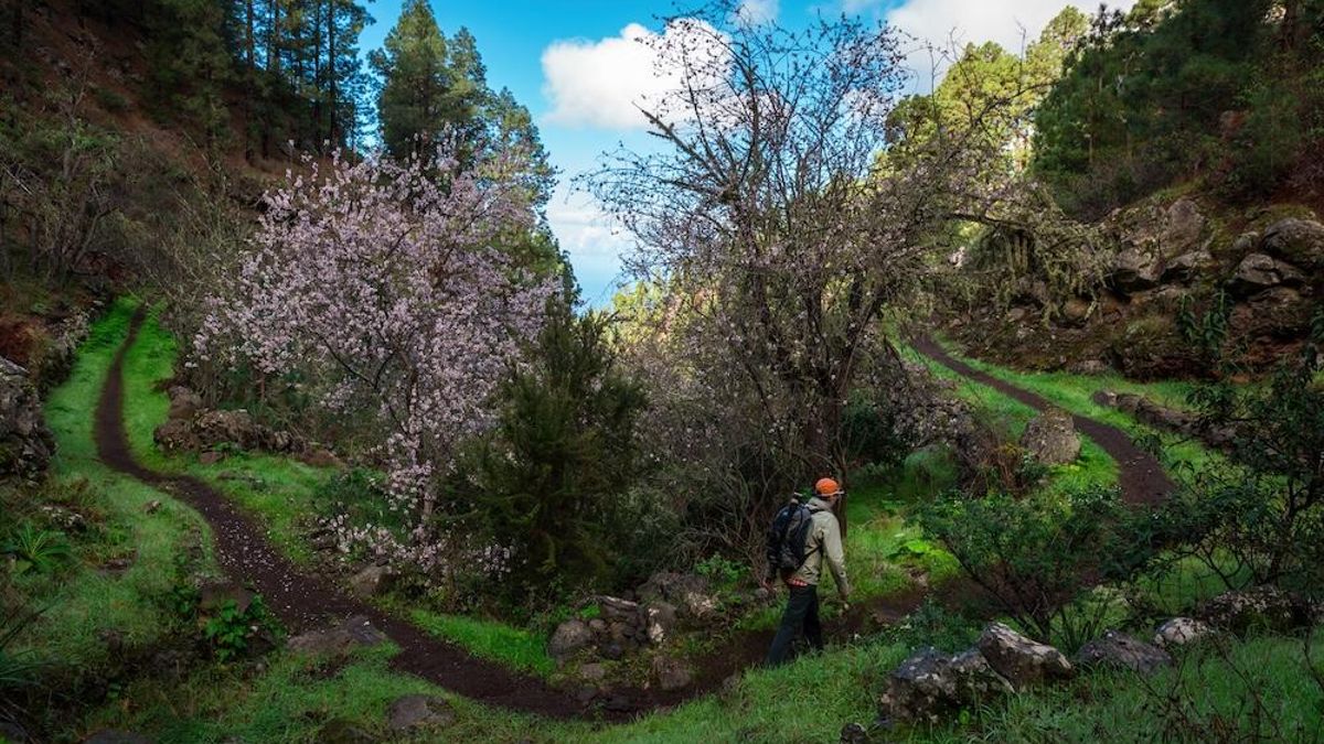 El Ayuntamiento de Tijarafe apuesta un año más por la cultura del bienestar