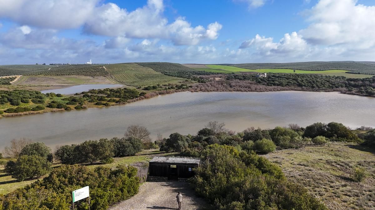 Laguna Tíscar y anexas en Puente Genil.