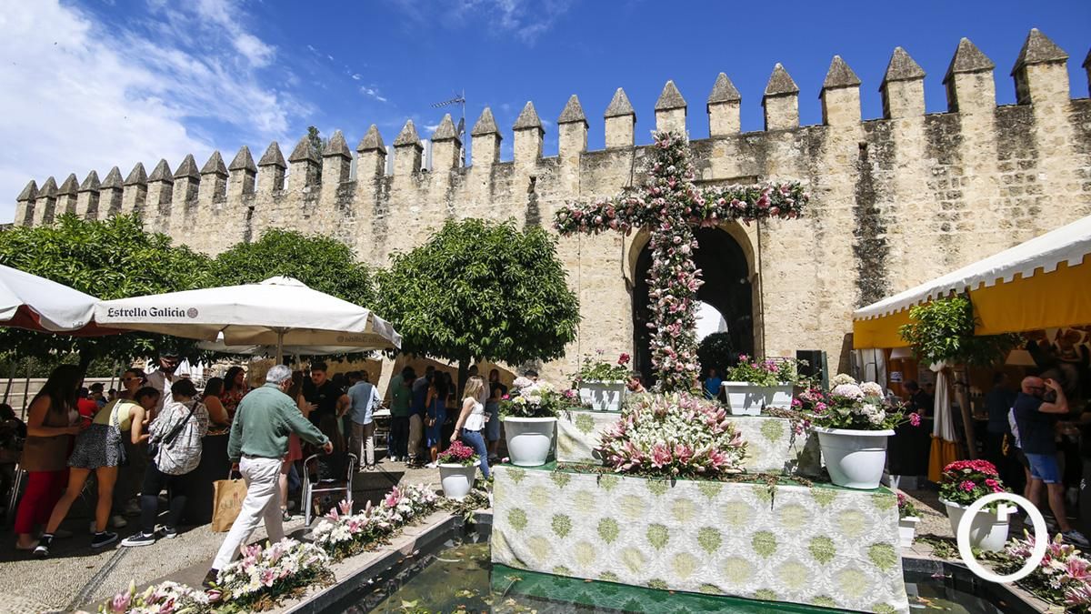 Tercer premio en Zonas Modernas Cruz de la Asociación Vecinal Huerta del Rey