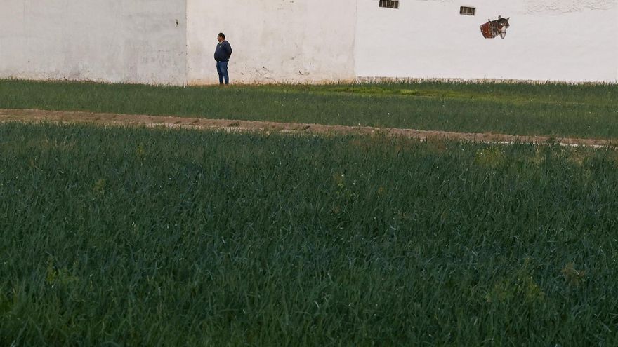 Un plan para 25.000 nuevas hectáreas de regadío y la ley de representatividad agraria, anuncios de Page para 2025