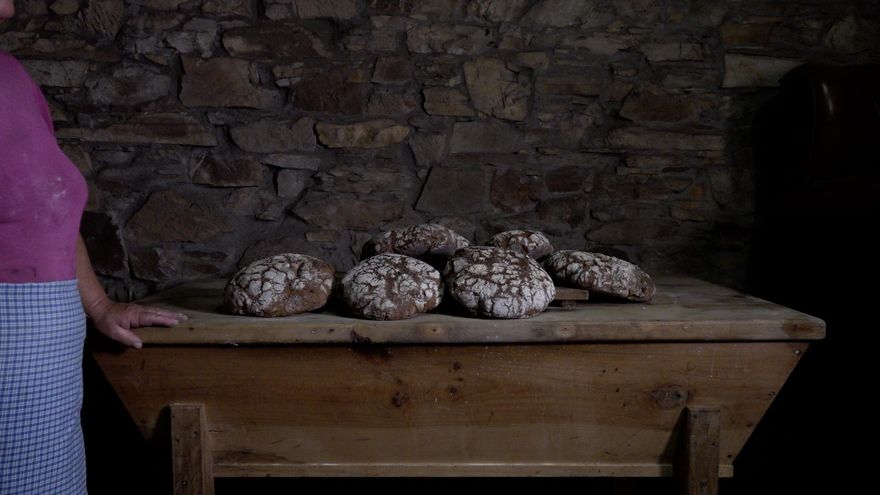 Los cerdos se tambaleaban y otras historias del hongo gallego que dio origen al LSD