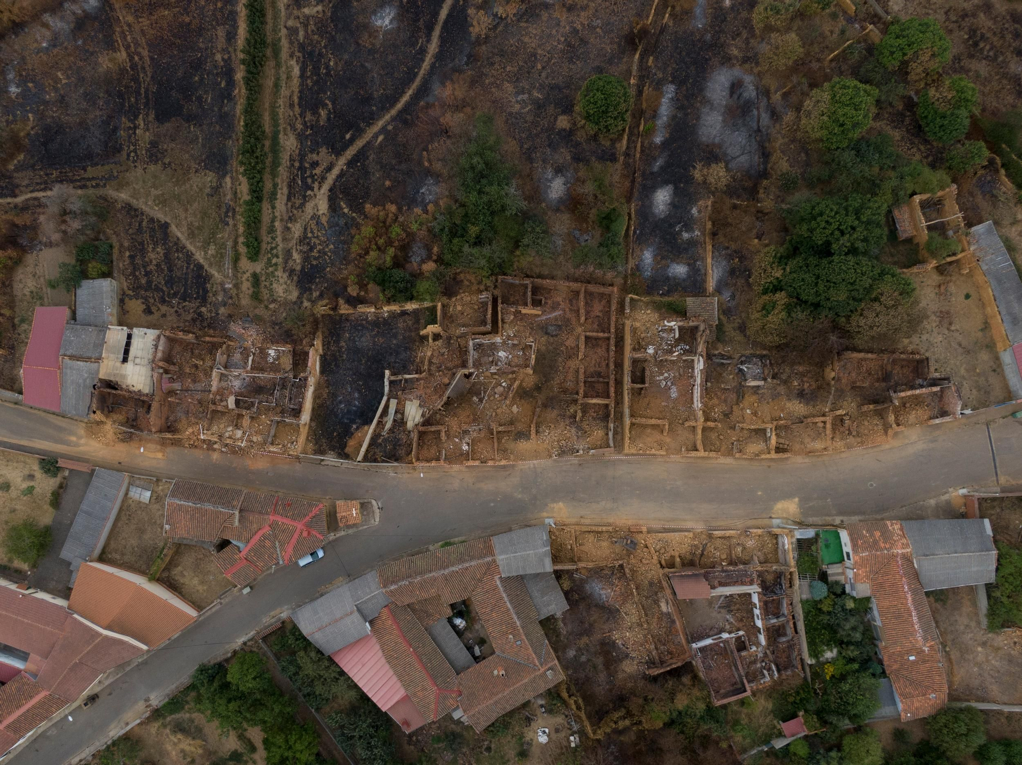 La devastación de los incendios del sur de León que impulsa la campaña internacional de Greenpeace
