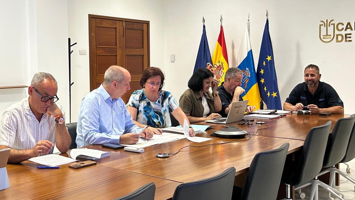 Consejo Asesor del Peinpal.