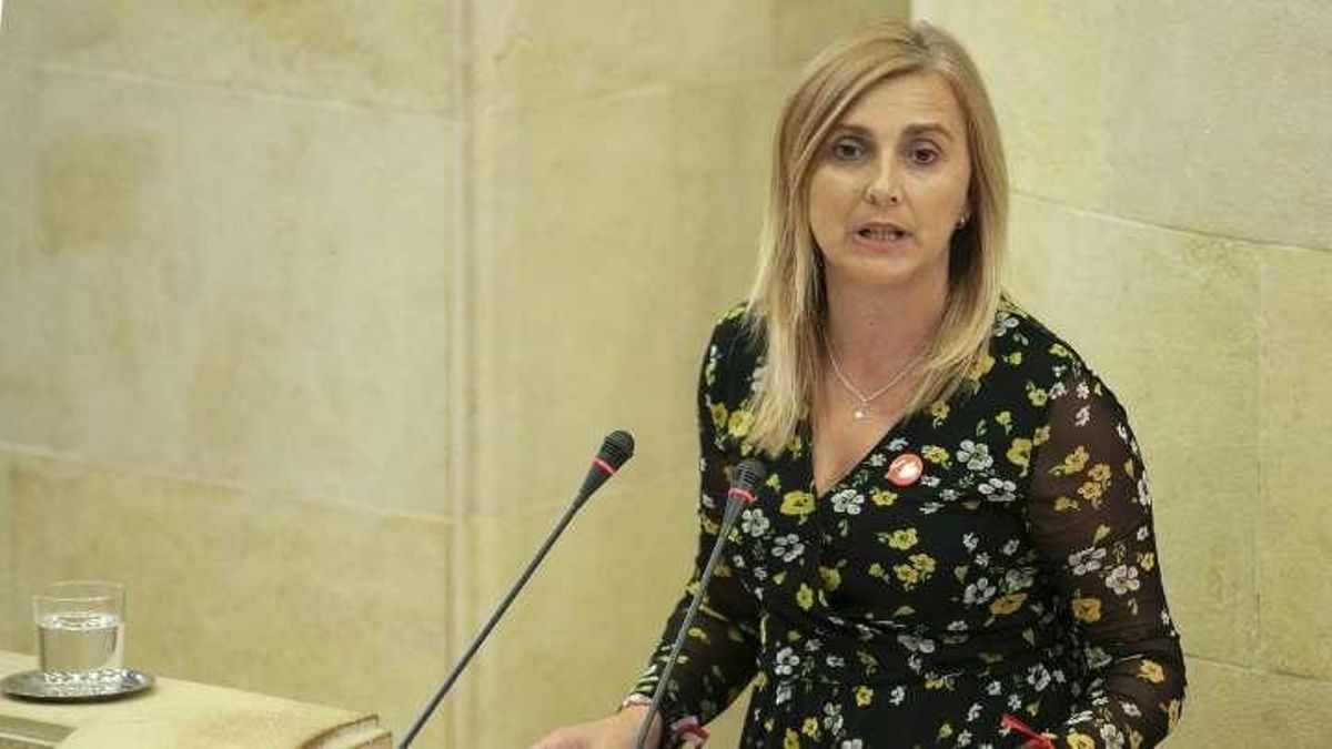 Noelia Cobo, portavoz socialista en el Parlamento de Cantabria.
