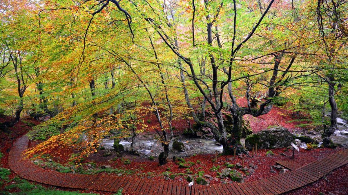 Paisaje de Faedo de Ciñera
